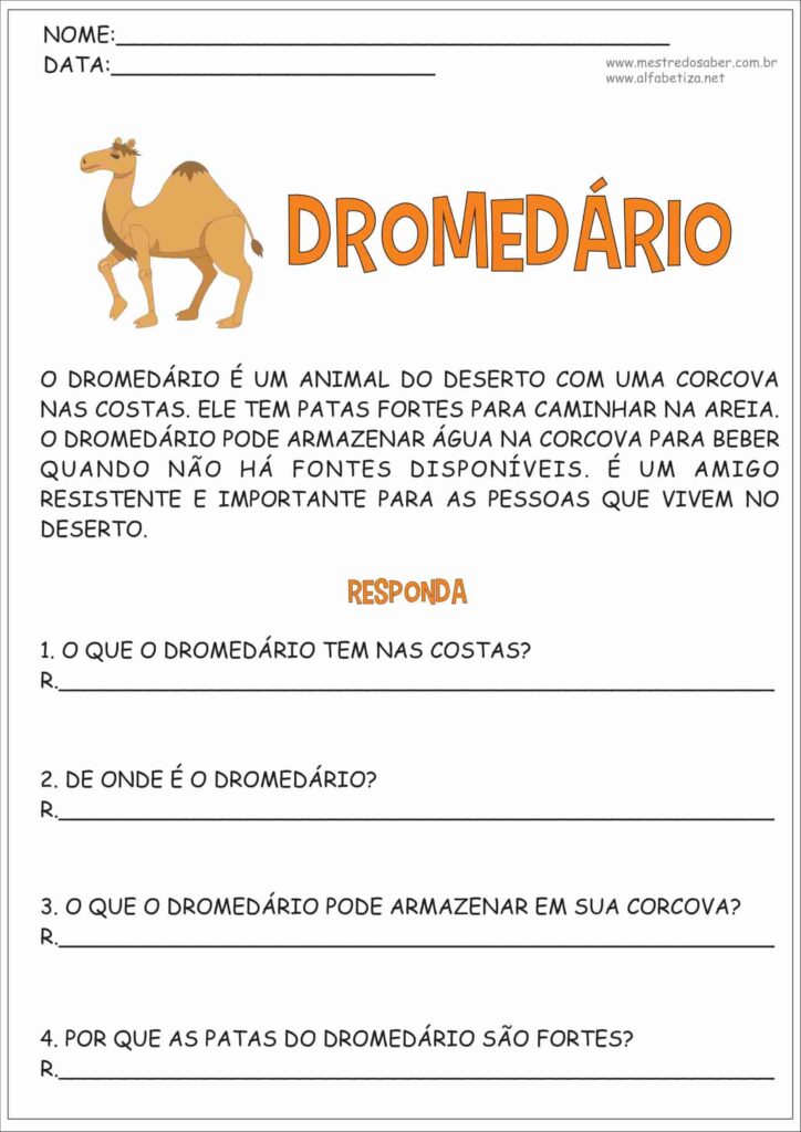 2 - Interpretação de Texto 3 ano