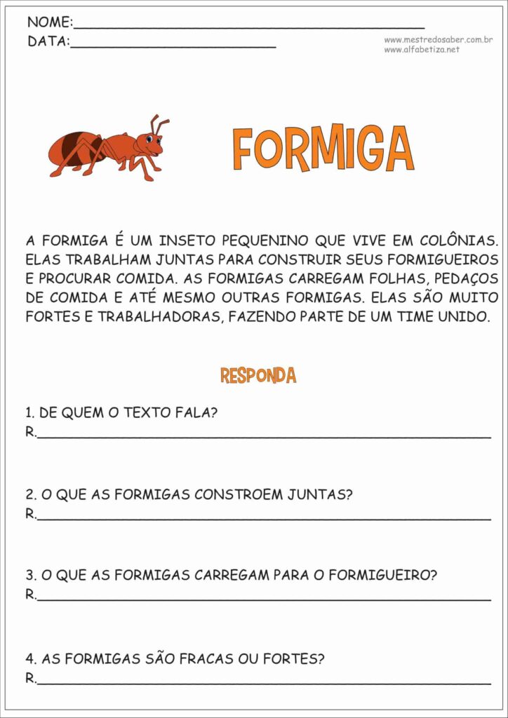 4 - Interpretação de Texto 3 ano