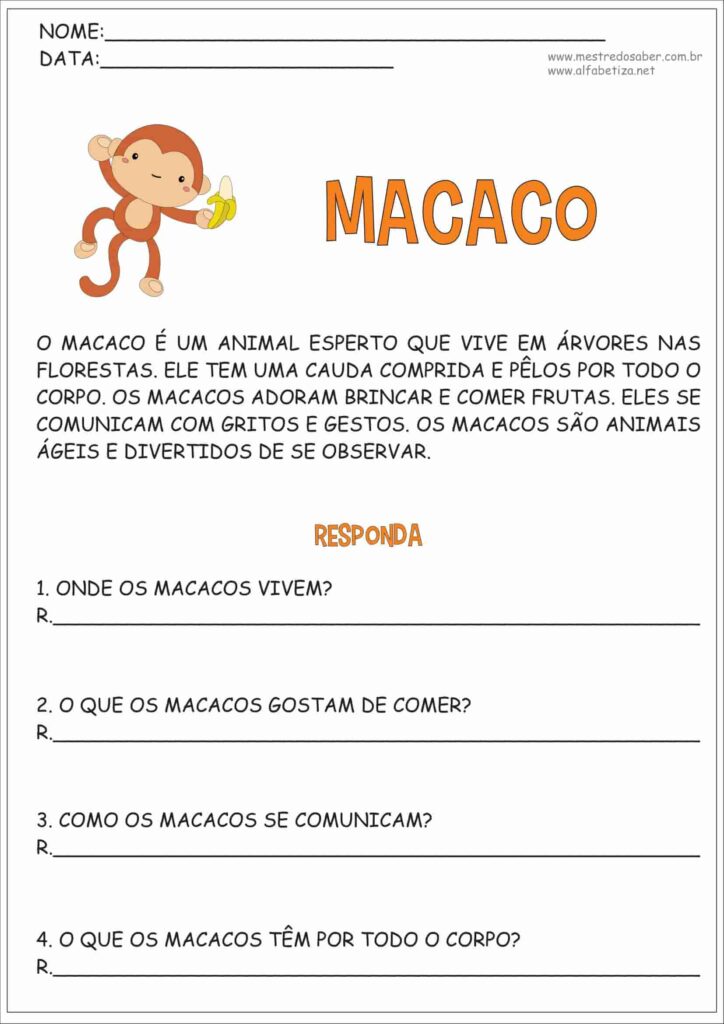 6 - Interpretação de Texto 3 ano